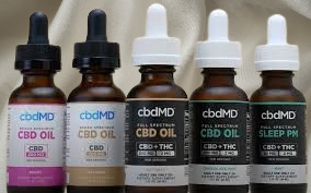 CBD Oil