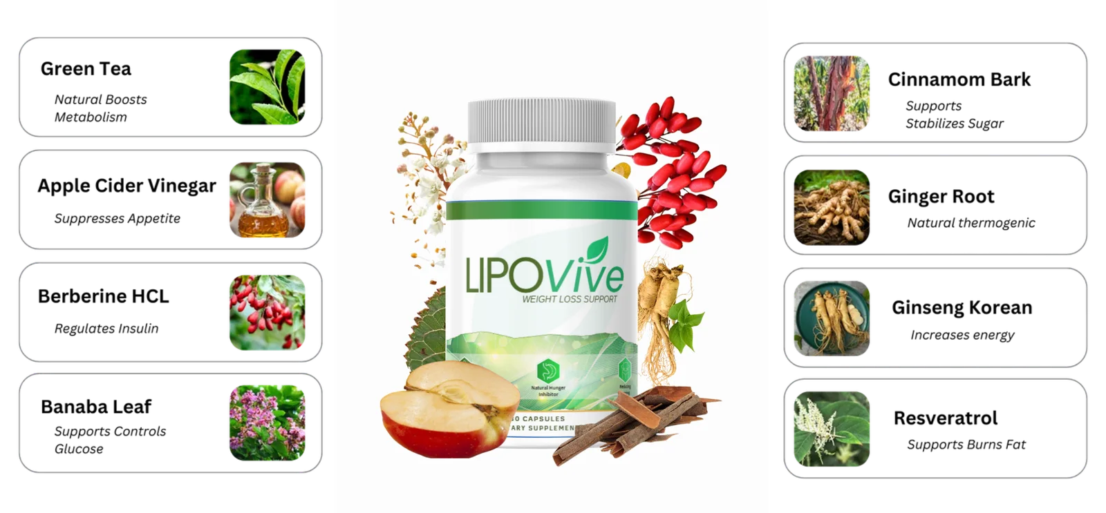 LipoVive
